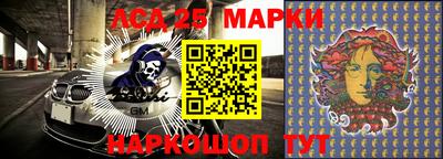 мдпв Кингисепп