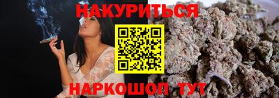 мдпв Кингисепп