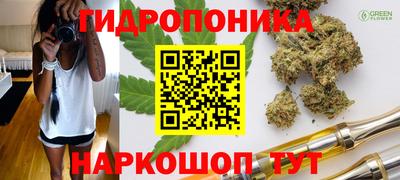 spice Кинель