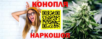 мдпв Кингисепп