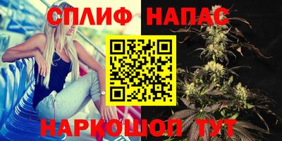 spice Кинель