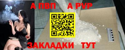 мдпв Кингисепп