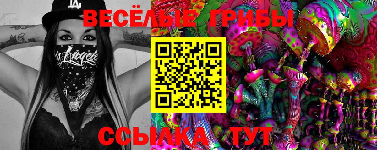 Бирск  Галлюциногенные грибы мухоморы  наркотики  Вход с VPN 